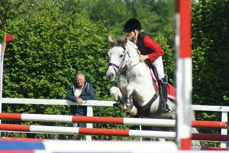 Anden særlig race Ellegårdens Bjarne a.k.a Casmir - FYNSMESTER 2012 

Casmir's Gamle ejer i Baggrunden :) billede 9