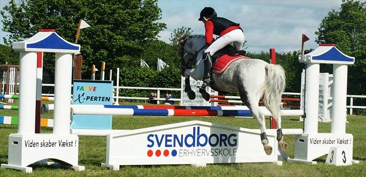 Anden særlig race Ellegårdens Bjarne a.k.a Casmir - Stolt FYNSMESTER RYTTER :) fik 9 plads!<3 billede 10