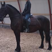 Frieser wickie af hasselholt