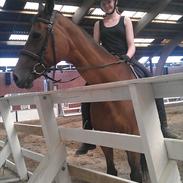 Trakehner Lorina ( Part )