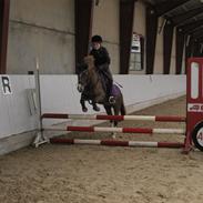 Anden særlig race felix