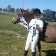 Anden særlig race felix