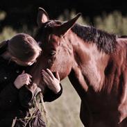 Anden særlig race Viggo ~ Sjæleven <3