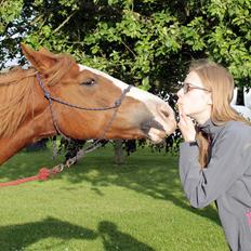 Anden særlig race Carisma