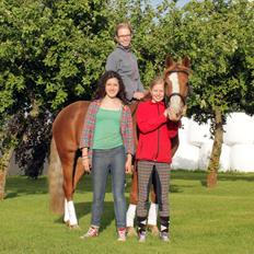 Anden særlig race Carisma