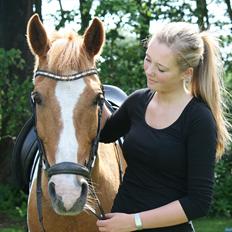 Anden særlig race • Trebjerregårds Grande •