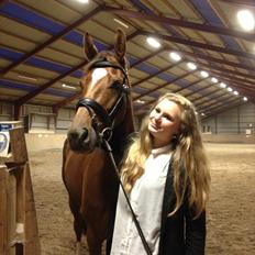 Dansk Varmblod Dalia Imhoff