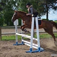 Traver Uwaga Skovfryd - Preasure