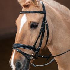 Anden særlig race Bailey