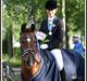 Tysk Sportspony Janine WE A-Pony