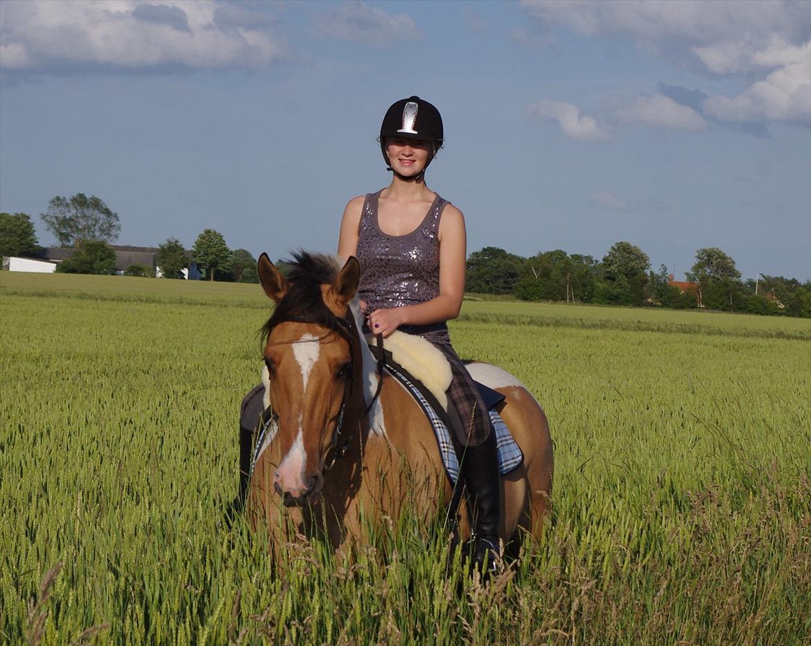 Irish Cob Crossbreed Bambie blue - Bambie og jeg på tur :) SOMMER 2012 <3 foto: sussi  billede 19