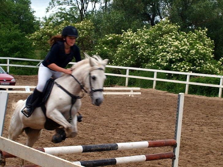 Anden særlig race Silver - La på Ker. :-) billede 16