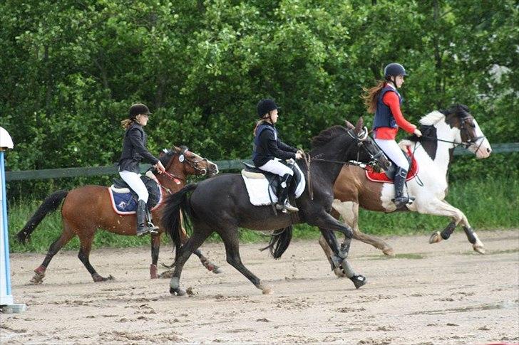 Traver Sir Nim billede 1