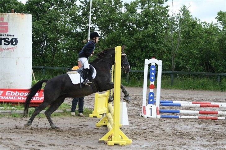 Traver Sir Nim billede 6