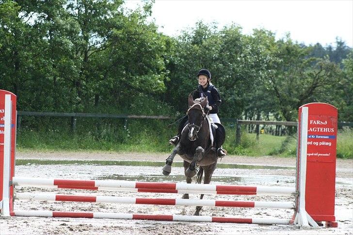 Traver Sir Nim billede 8