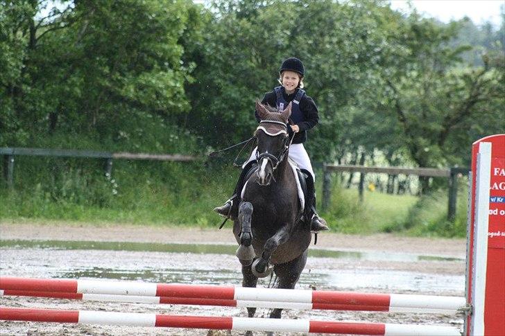 Traver Sir Nim billede 9