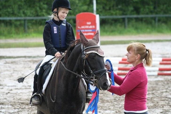 Traver Sir Nim billede 10