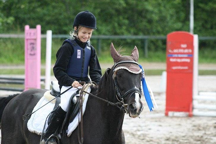 Traver Sir Nim billede 13