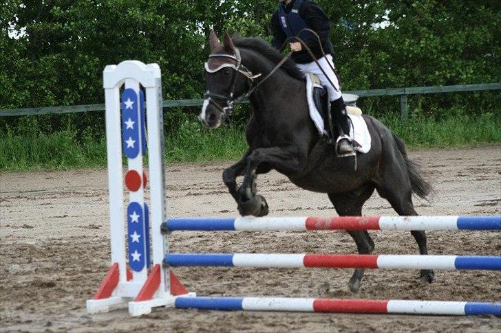 Traver Sir Nim billede 14