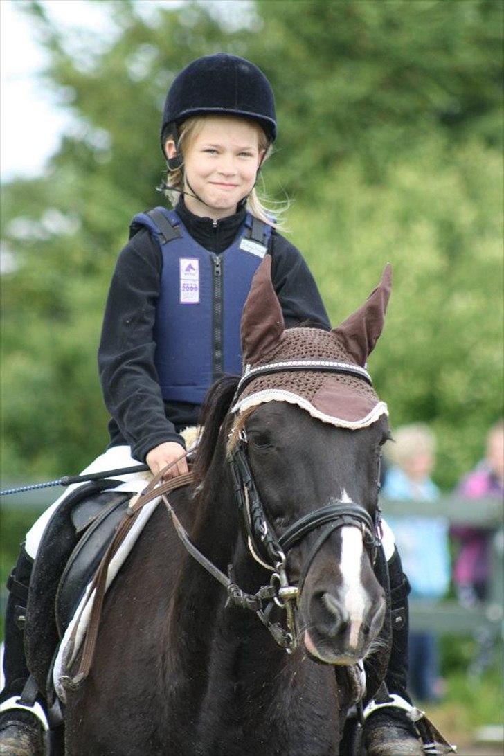 Traver Sir Nim billede 17