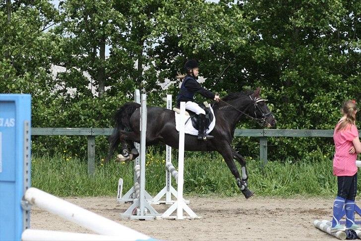 Traver Sir Nim billede 18