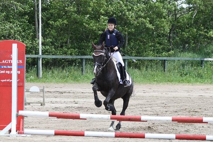 Traver Sir Nim billede 19