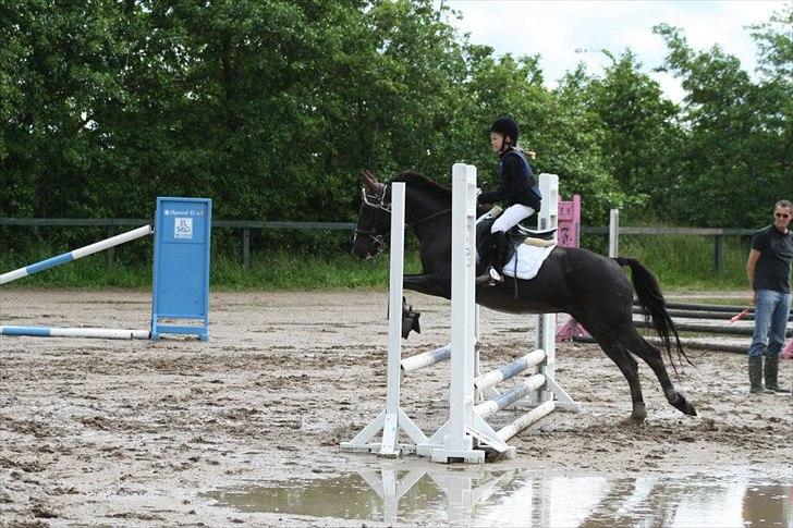 Traver Sir Nim billede 20