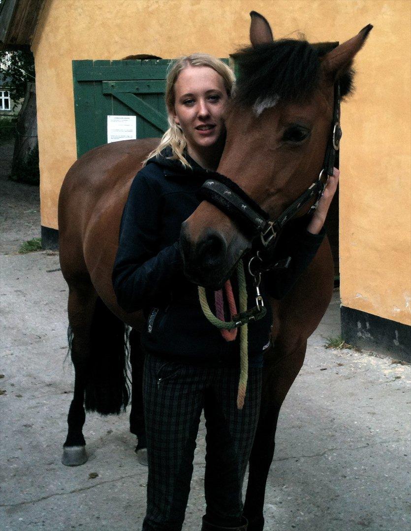 Anden særlig race Kildegårdens Socky - At det ville gøre så ondt og være så svært, på en og samme tid, havde jeg aldrig turde forestille mig :( Jeg fortryder ingen ting! Det var de 4 bedste år af mit liv. Jeg håber du ved at jeg elsker dig <3 billede 5