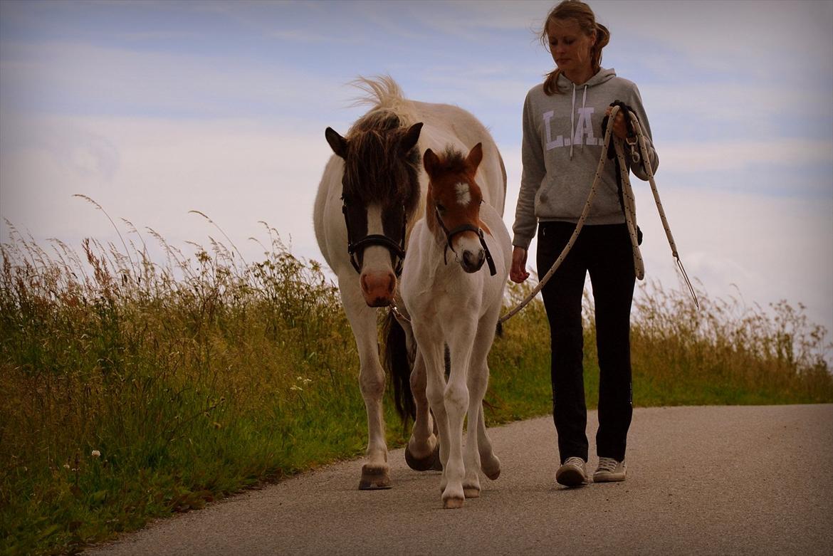 Islænder Mímir fra Havshøj - Just when I thought that love could never be a part of me, that's when you came along and showed me happiness!
 billede 13