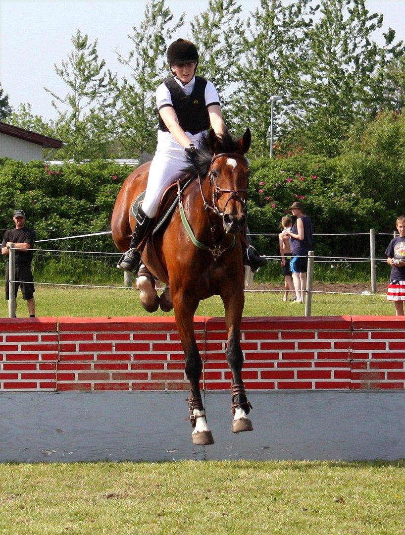 Dansk Varmblod HÉKATE - Weee :D Over mur på hende for første gang. Foto: Clarissa Nielsen billede 4
