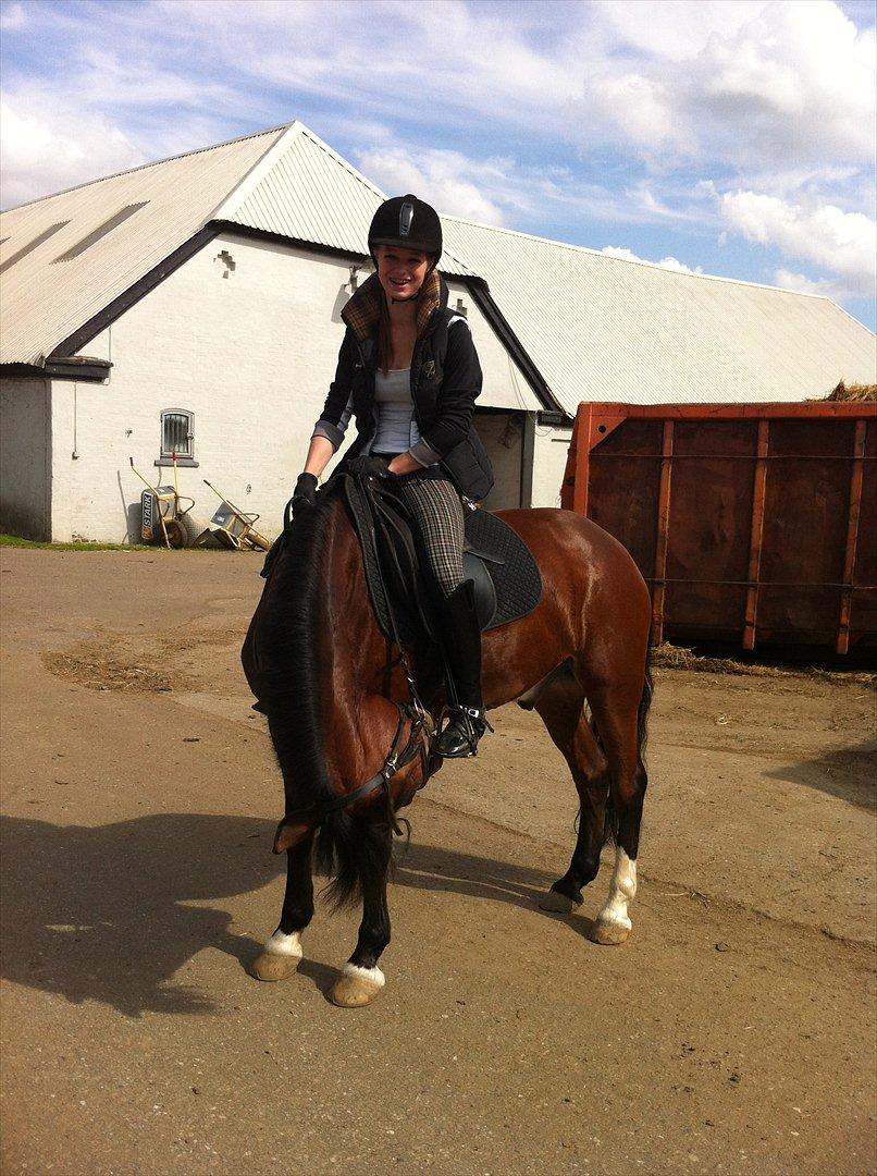 Anden særlig race Basil billede 17