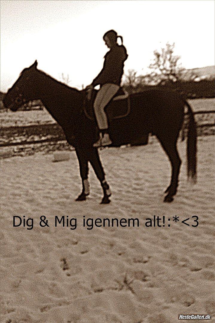 Traver Noir Speed billede 11