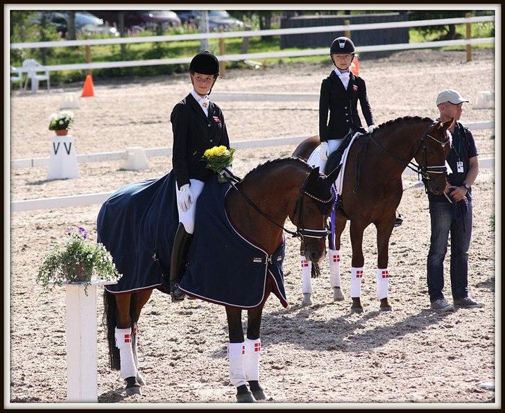 Tysk Sportspony Janine WE A-Pony - Fra præmieoverraklesen til nordisk mesterskab i Finland  billede 20