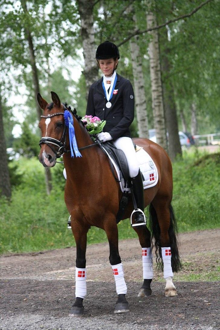 Tysk Sportspony Janine WE A-Pony - Fra da mig og Janine fik sølv i kür til 75,55% (Nordisk mesterskab i Finland) billede 8