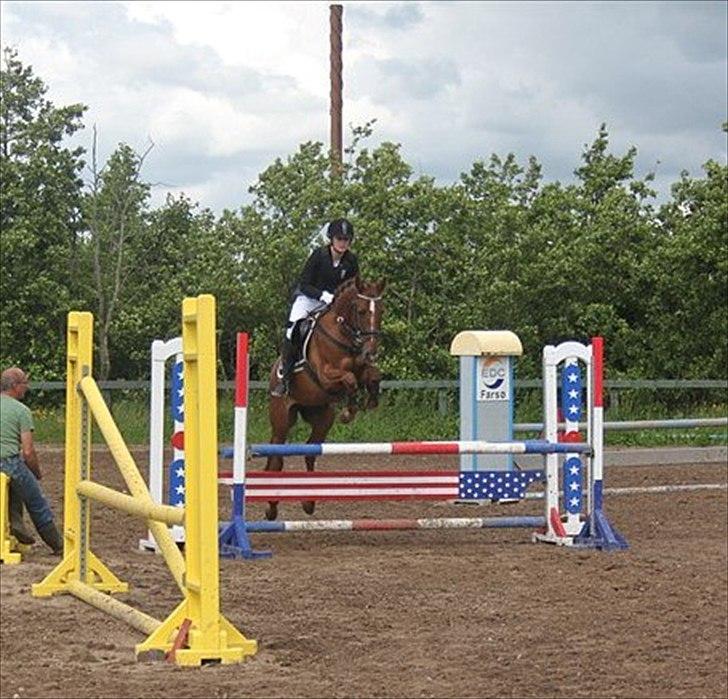 Anden særlig race Ricardo - Solgt - Foto: Julie *Skovmose* Andersen billede 13