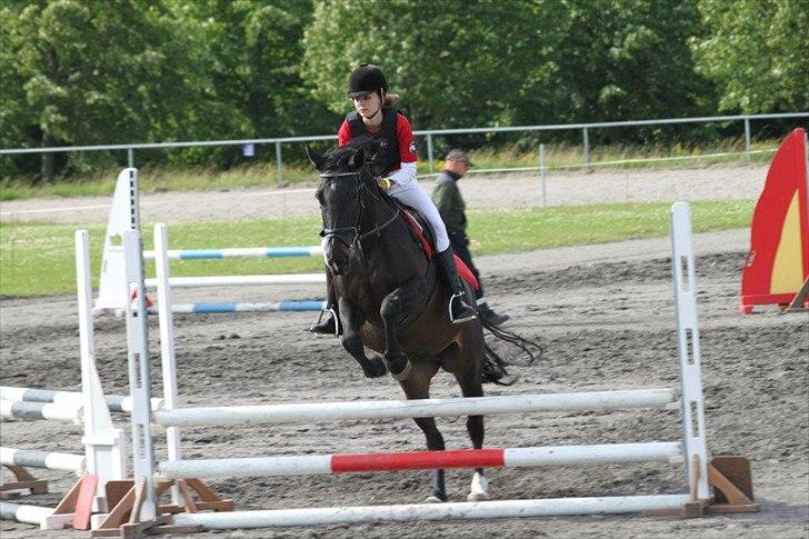 Dansk Varmblod Lopez - Landsfinalerne 2012. Afd B - 70 cm... Det var virkelig en rigtig god dag, selvom hun stoppede i anden runde, var hun vildt god i første! <3<3

Foto: Kamilla Kranker.. billede 9