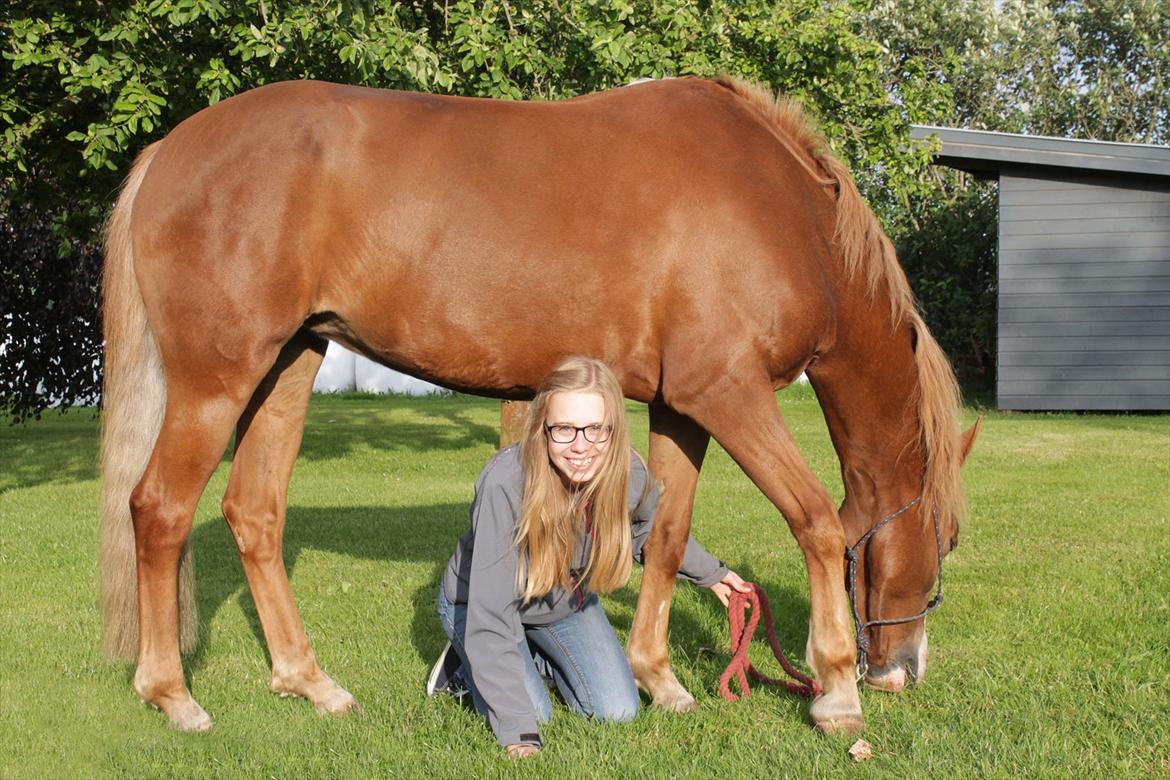 Anden særlig race Carisma - 
Hej og velkommen til Carismas profil!

Her kan i se billeder af den smukke pony, og læse i dagbogen, som jeg opdatere hver gang der sker noget spændende! :) billede 1