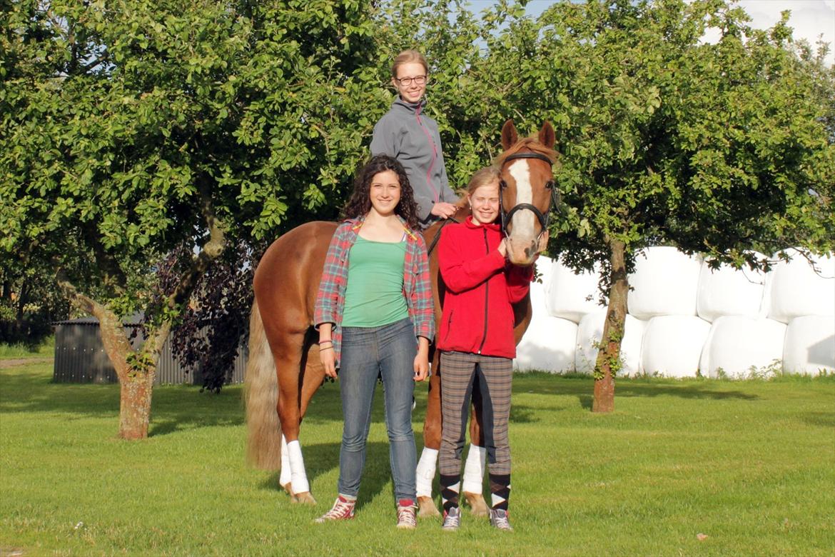 Anden særlig race Carisma - Her kan i se Frida (Mørkt hår) som ejer Risma, og Maja (Rød trøje) og mig som har part på hende. :) billede 2