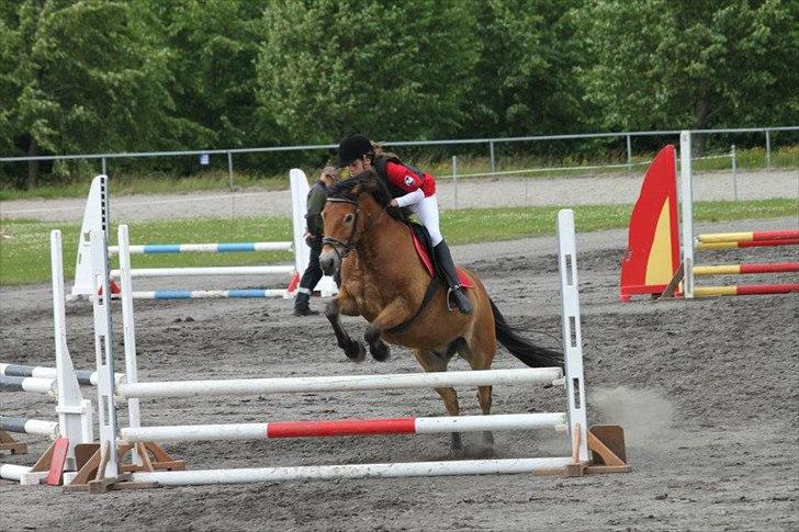 Anden særlig race Tue - Landsfinalerne 2012. 1. runde 0 fejl!<3<3 billede 15