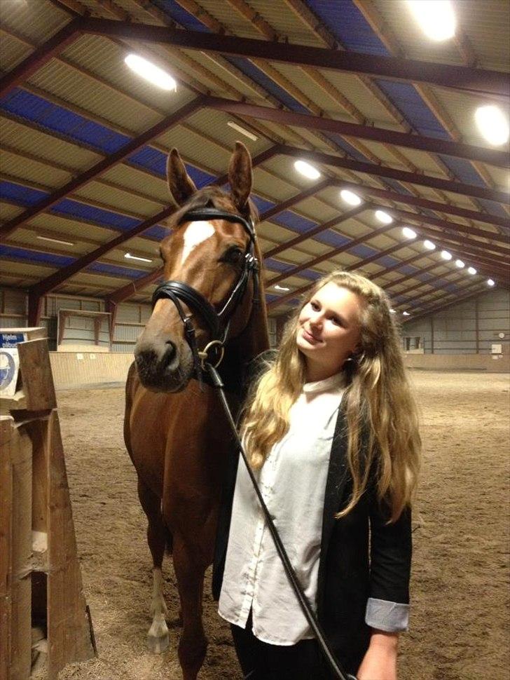 Dansk Varmblod Dalia Imhoff - Prinsessen og Mig. billede 1