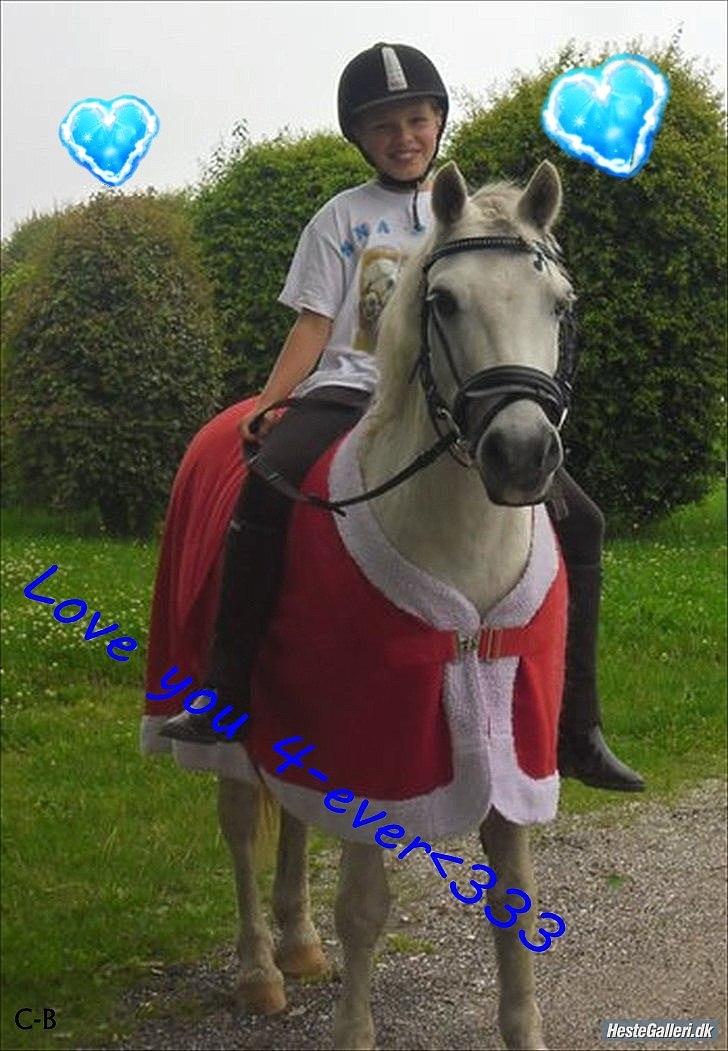 Welsh Pony (sec B) Hvide Charlie <3 - Mig & Hvide i sommerferien 2011<'3 Elsker dig ponz og elsker det her billed:`) Dette billede er også i bladet: Ridehesten Junior for Juni 2012;D<333<333:* Foto: Orne billede 17