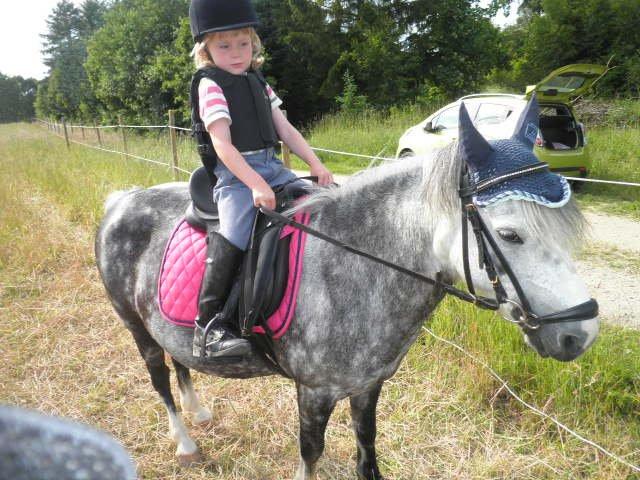 Welsh Mountain (sec A) Sisse. Himmelhest.  - Mathilde og Sisse klar til skovtur d. 3/7-2012. billede 12