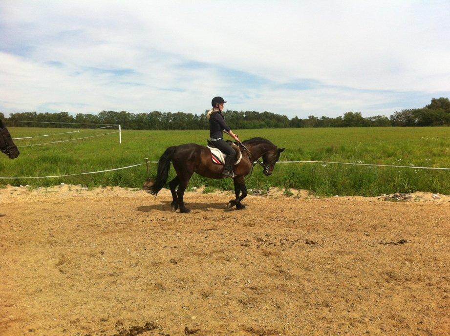 Connemara Jasmin - Jasmin og jeg<3 Første gang jeg red hende)
Taget af: Jette. billede 15