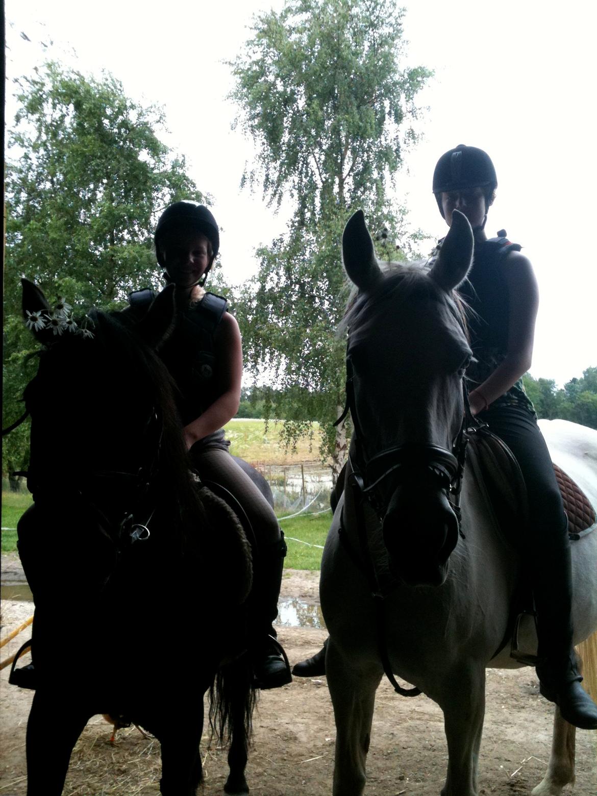 Connemara Jasmin - Jasmin & jeg, Ofelia & Sofie:-)
Taget af: Nicoline. billede 13