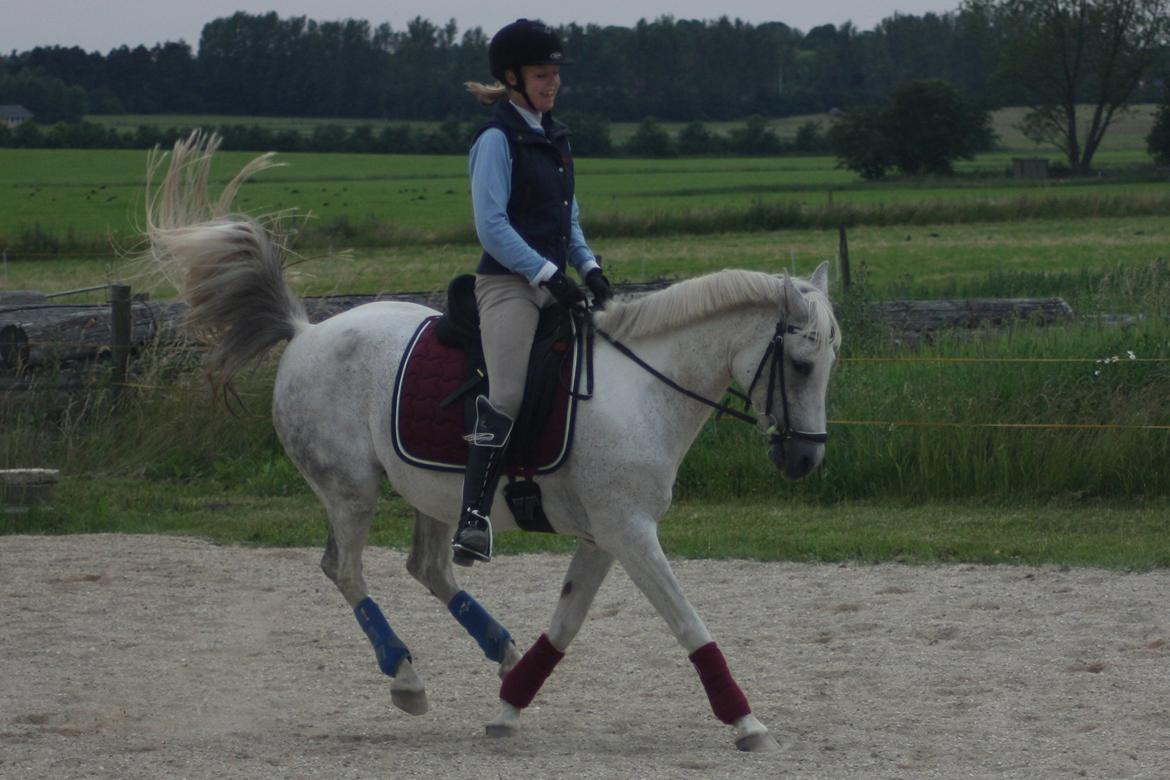 Anden særlig race Gadehøjs CariDée - Mit lille vilddyr når den rigtig er vild <3
Taget d. 2-7-2012 af Team Gadehøj billede 17