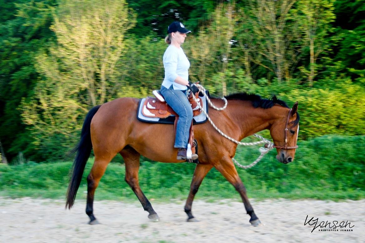 Quarter Super Smooth Beauty - 2012 Photo by TC & KJ billede 2