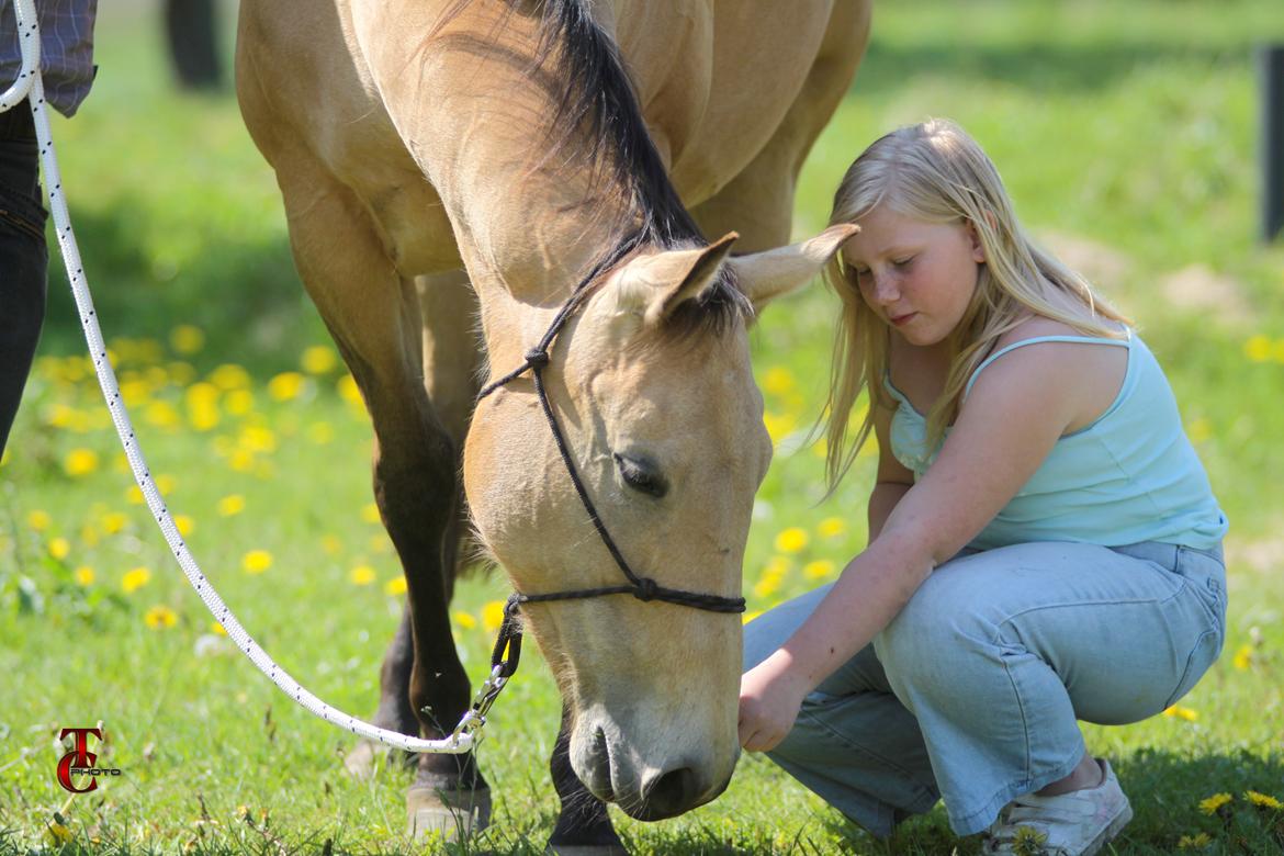 Quarter Sweet Sazz - 2012 Photo by TC Photo all rights reserved billede 2