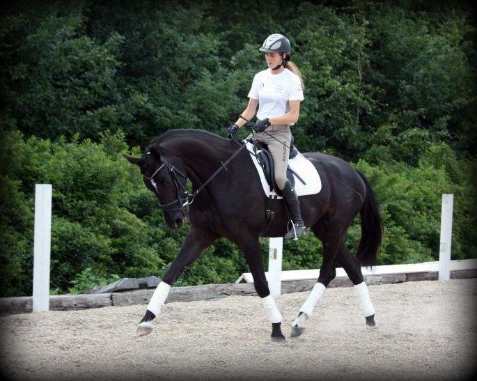 Dansk Varmblod Romero's Elektra (redet) - 2012 billede 10