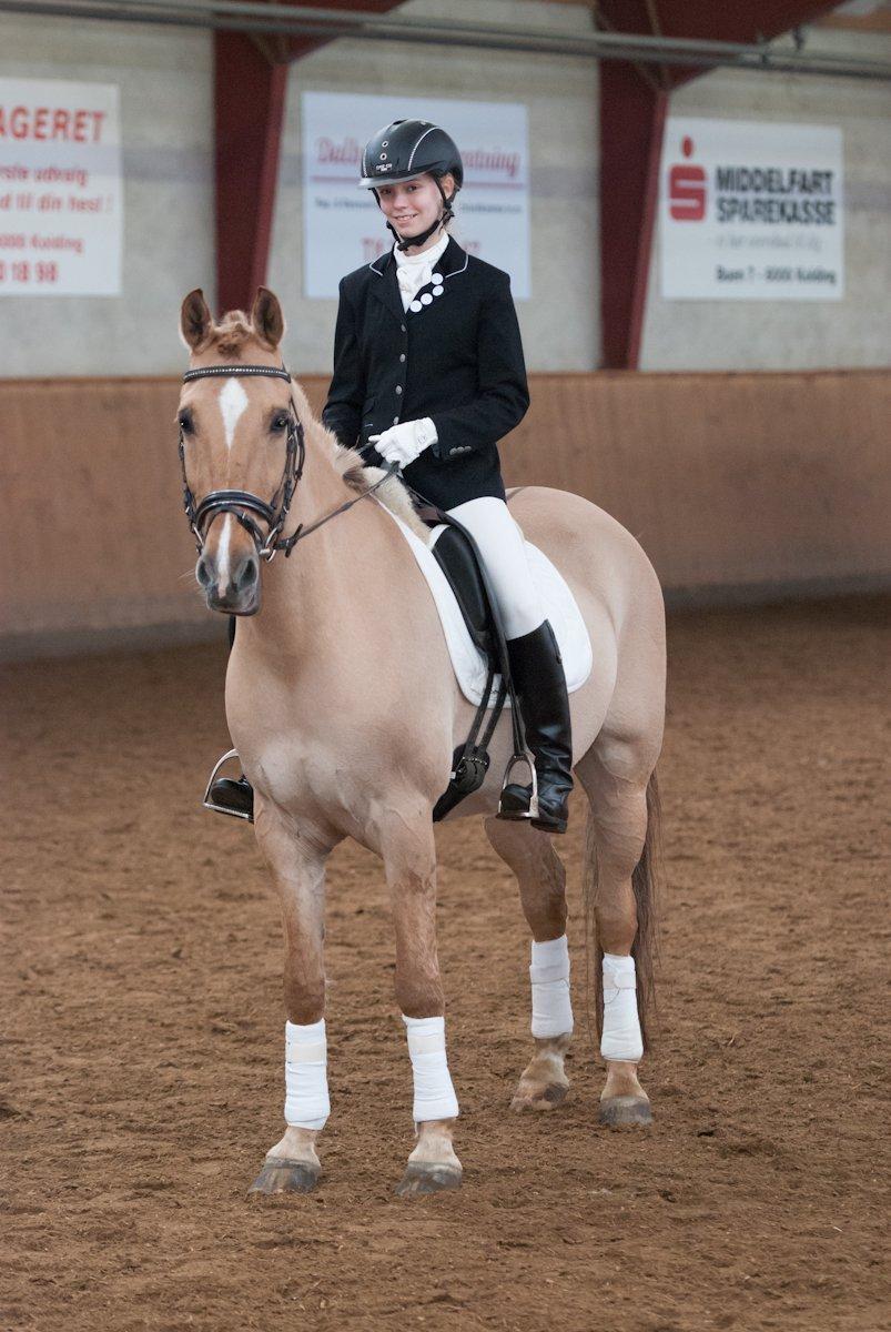 Anden særlig race Bailey billede 3