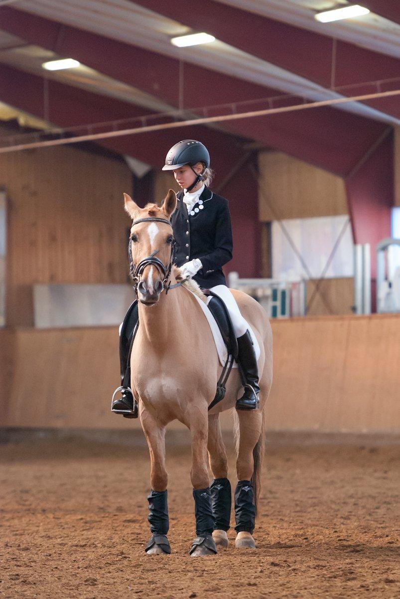 Anden særlig race Bailey billede 5